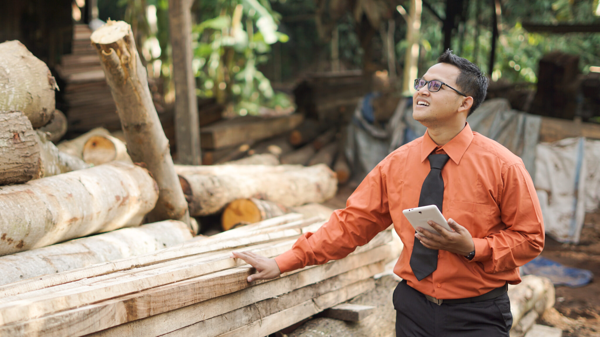 investir dans le bois