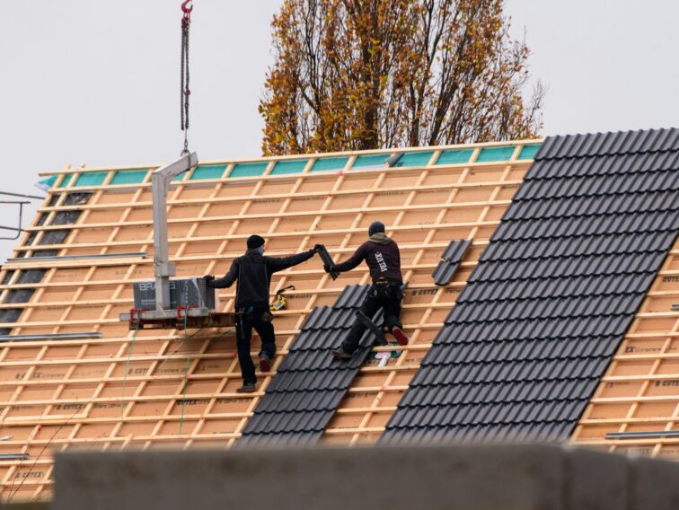 immobilier dans les Vosges